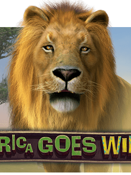 Africa Goes Wild Slot